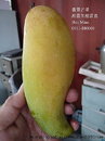 香蕉芒果